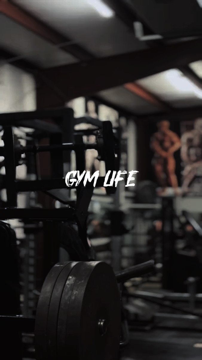 GYM LIFE
