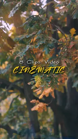Cinematic 8 Video