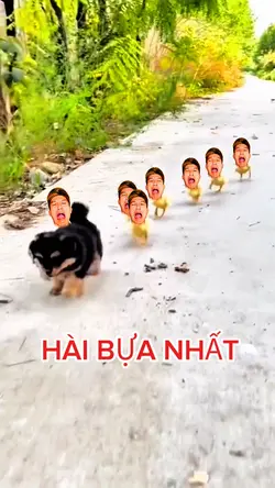 ghép hài hước 
