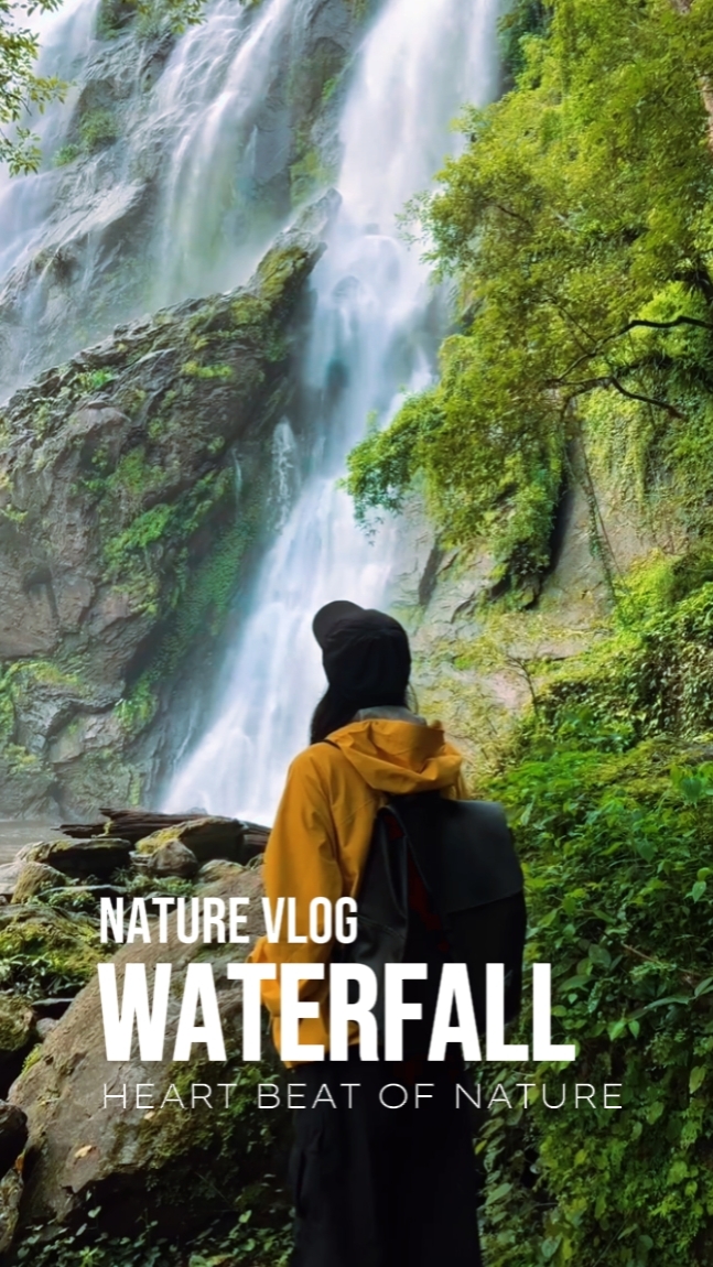 Nature Vlog Feira d 'água