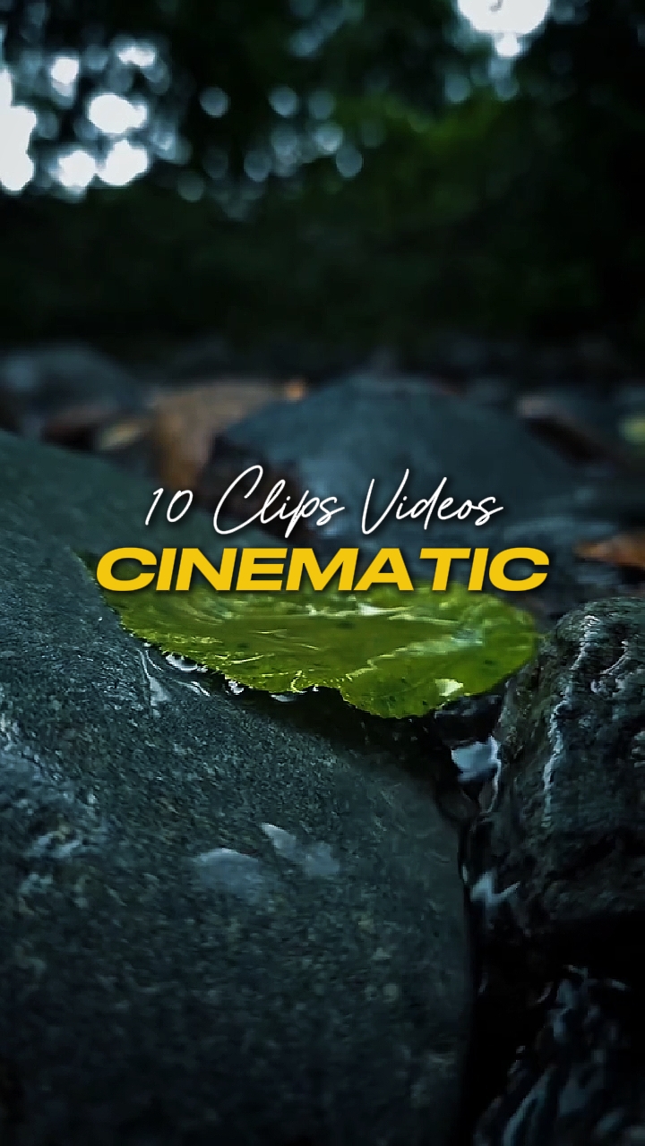 Cinématique 10 Vidéos