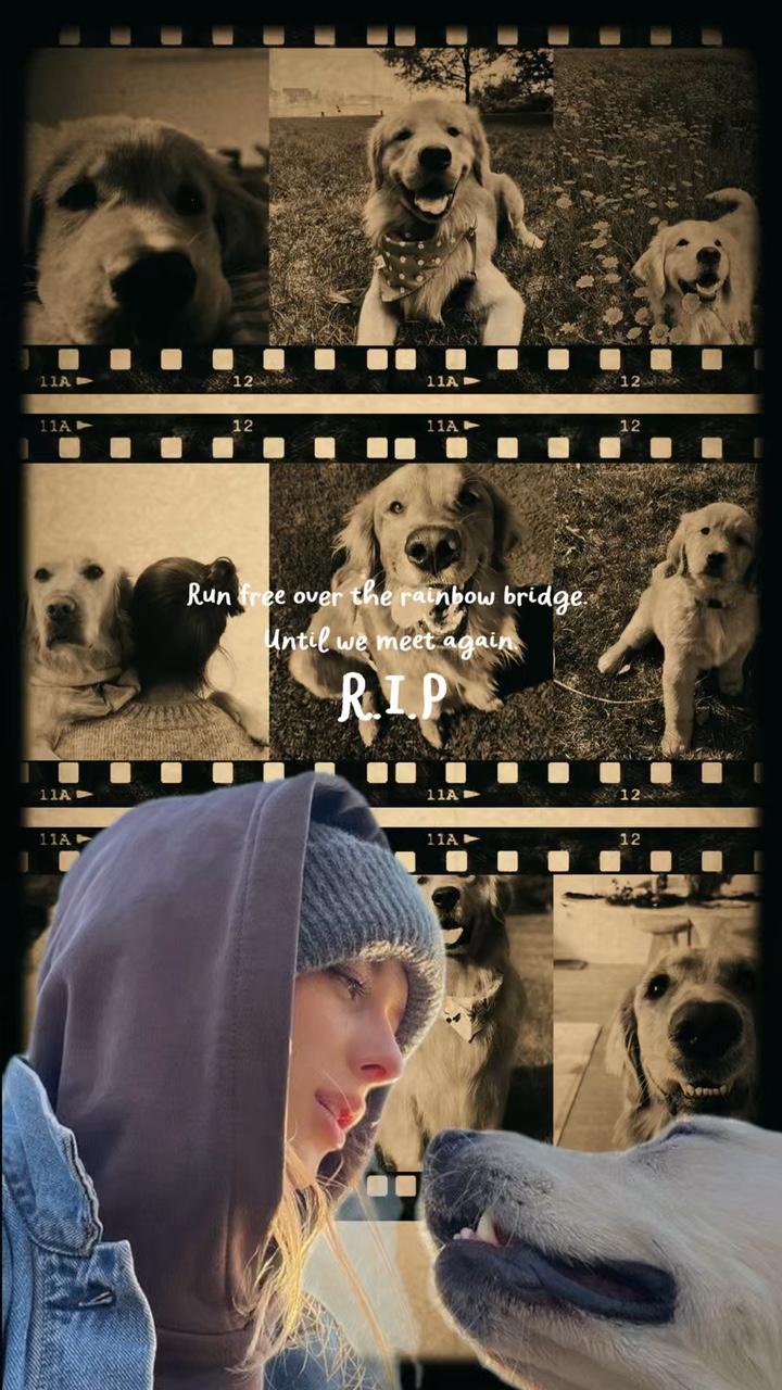 Perro DEP