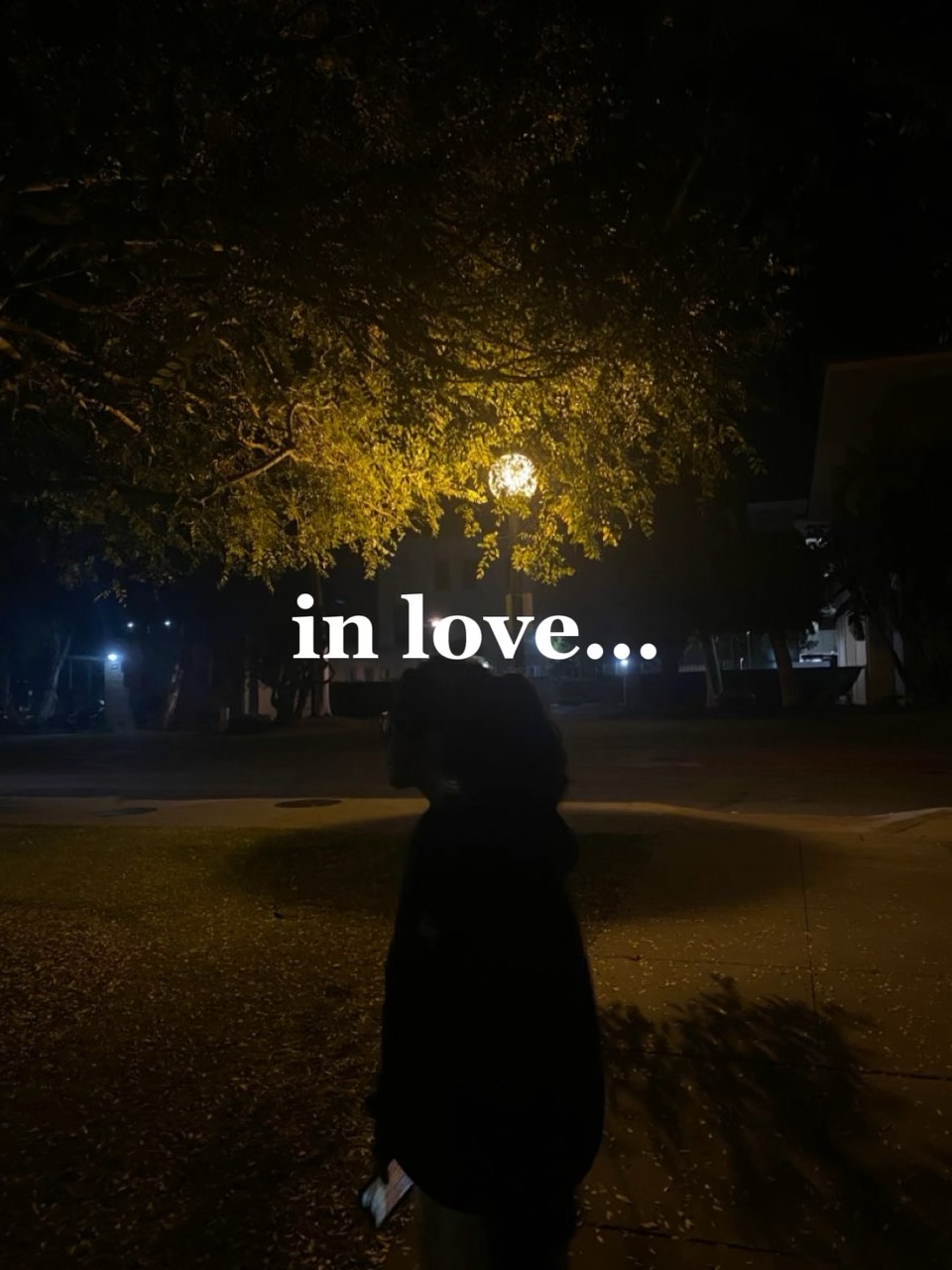 falling in love🫀
