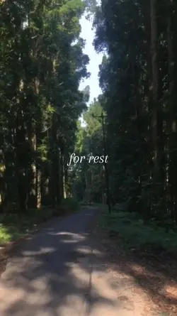 forest