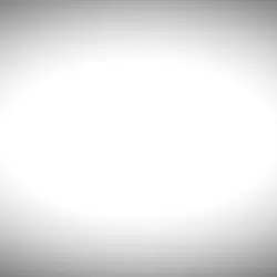 これ2回目