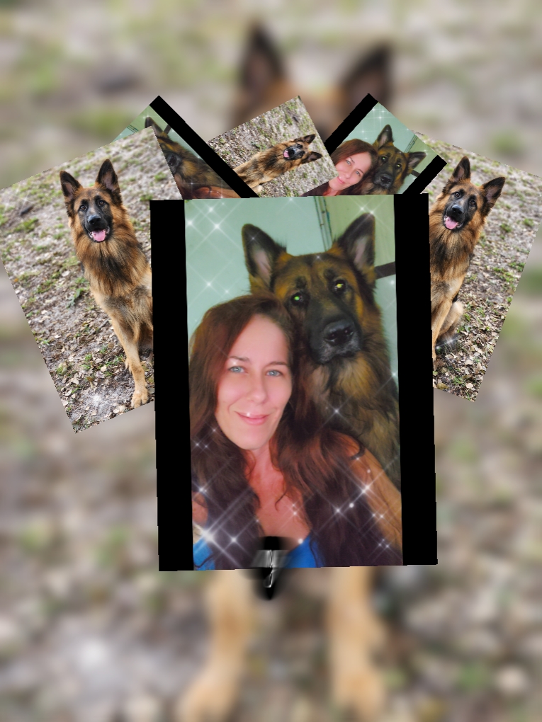 Mein Hund 