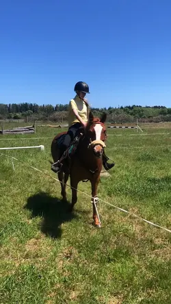 Filter + fade inπ©΅