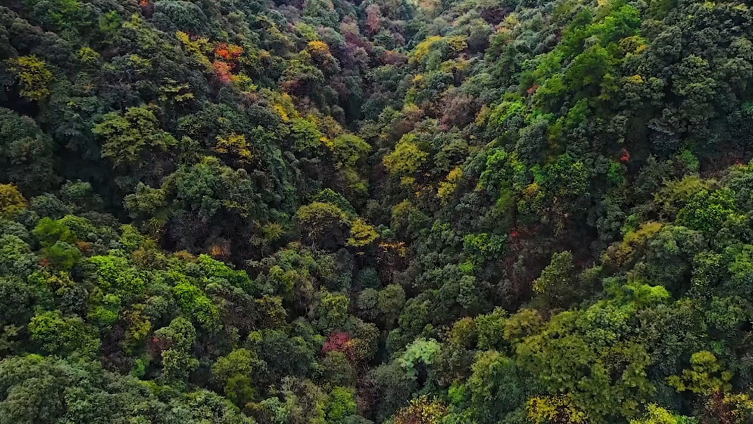 胡坦全景