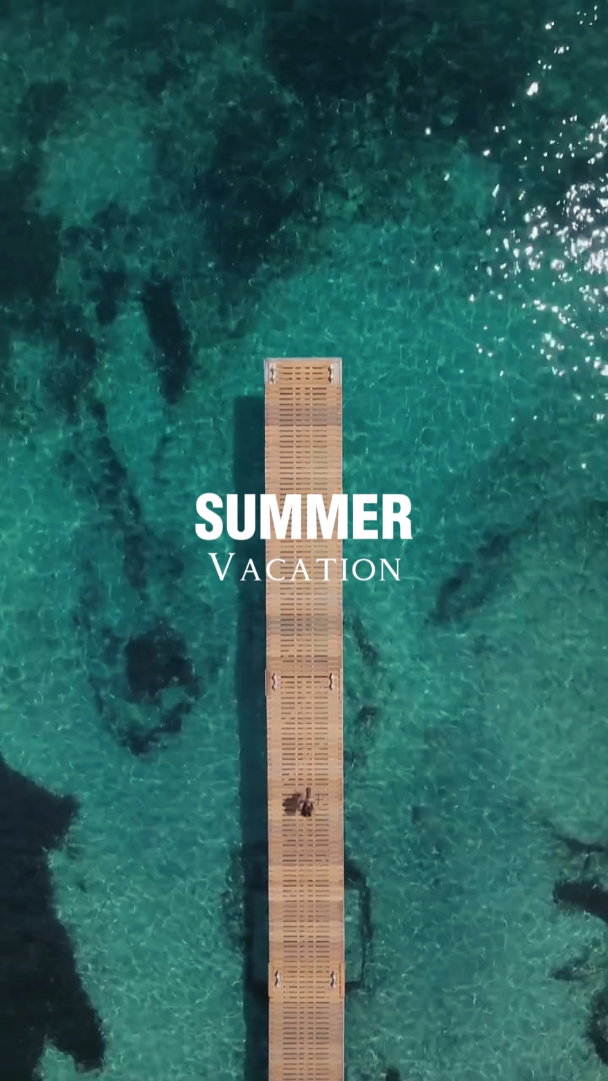 Vacaciones de Verano