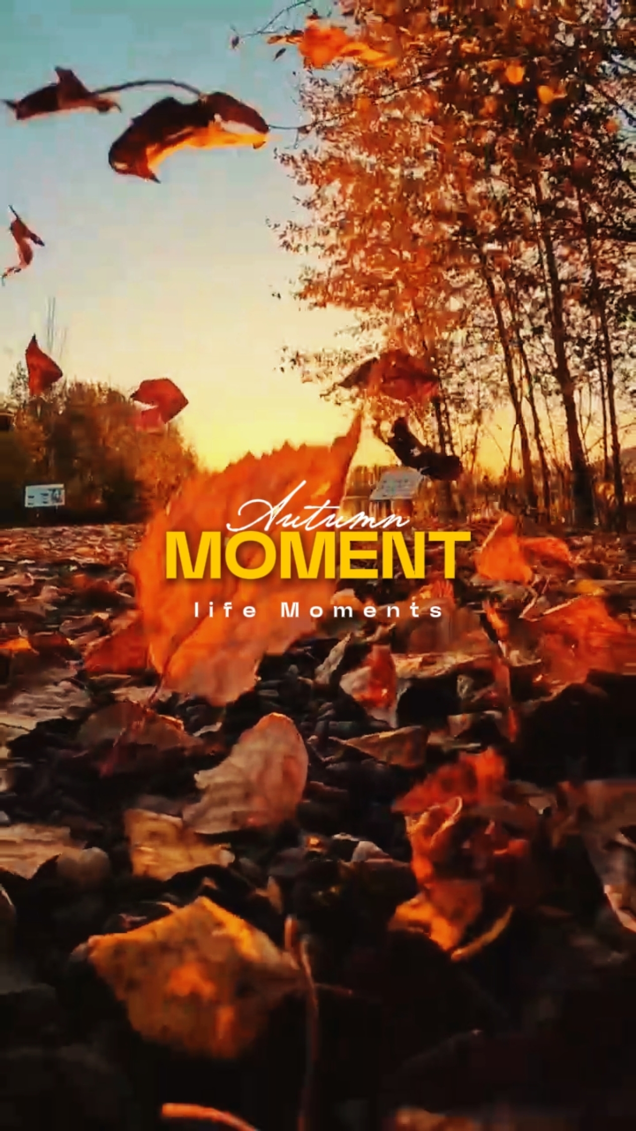 Autumn Moments