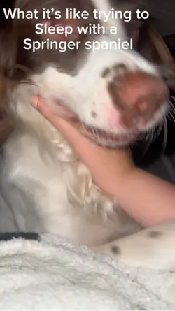Help me