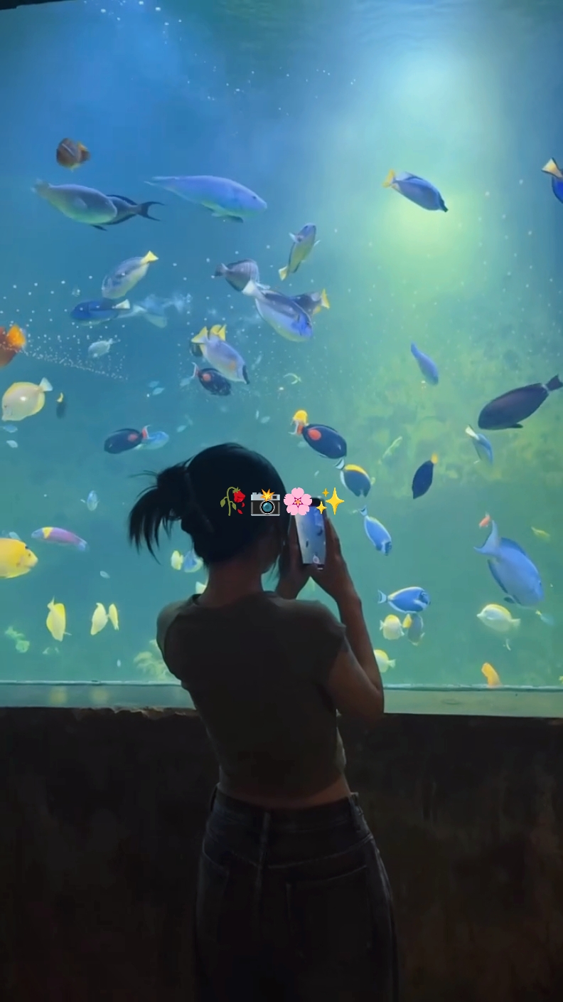 미니 브이로그 스토리 