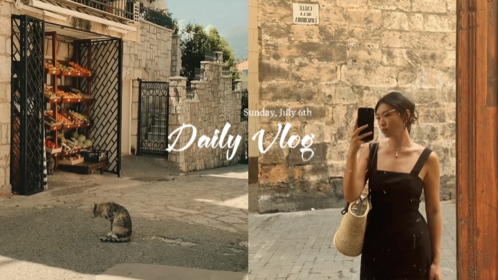 daily vlog grid 