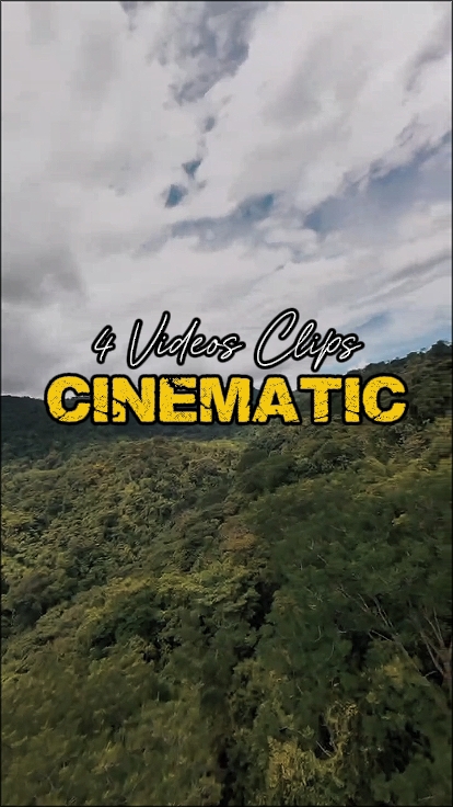 4 Videos Clips