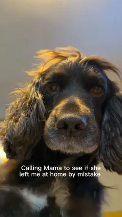 Calling Mama