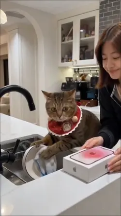猫と主人