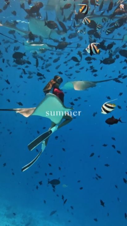Sommer
