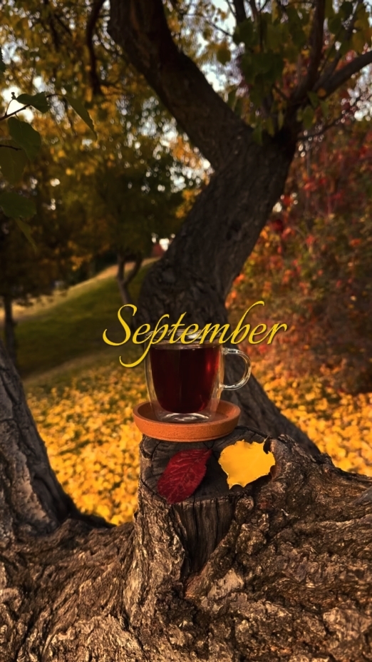 Septiembre 