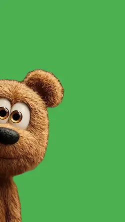 Bear . Urso