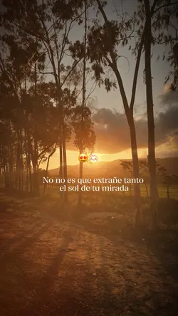 El sol de tu mirada