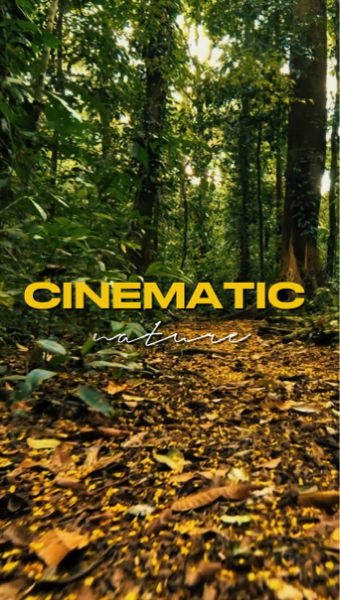 cinematic