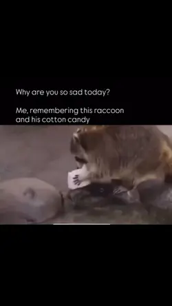 this is so sad