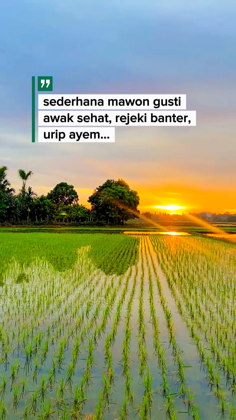 Sederhana mawon