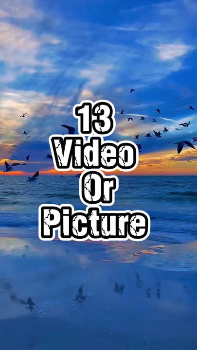13 video new templat