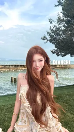 模板④