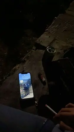 我只能离开 。