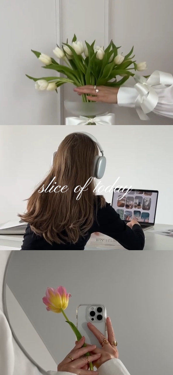 3 video landscape 