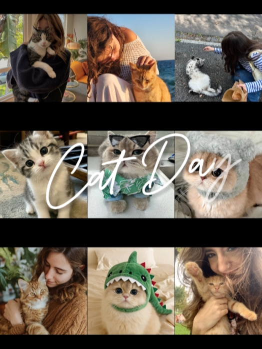 Día del Gato