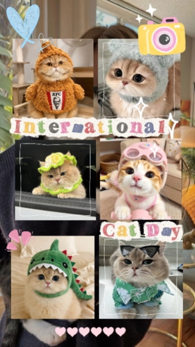Feliz Día del Gato