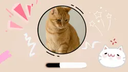 Intro Cute 