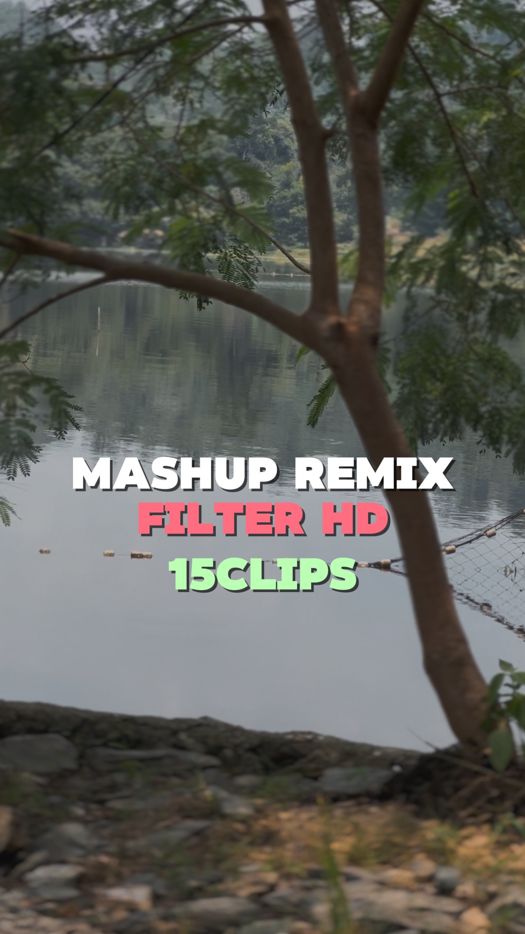 15Clipes Kamu 🎶
