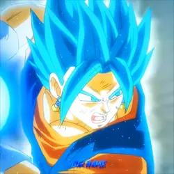 VEGITO