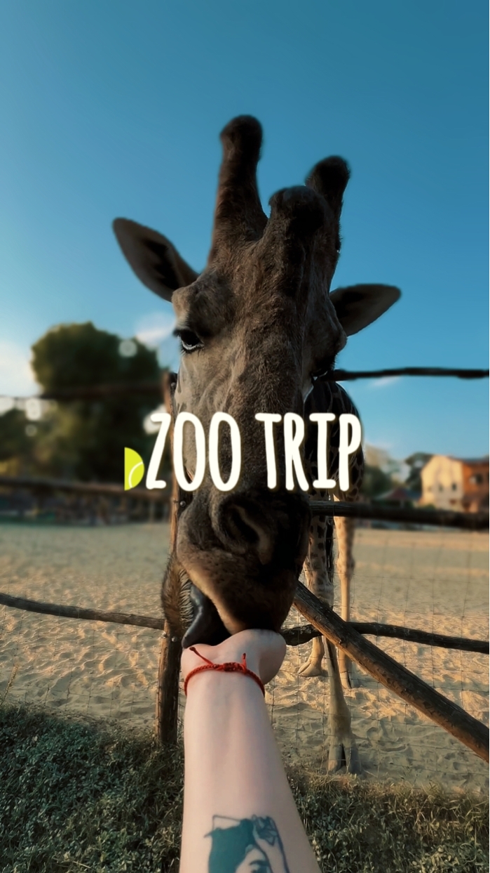 Zoofahrt HD