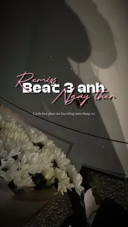 Beat 3 ảnh
