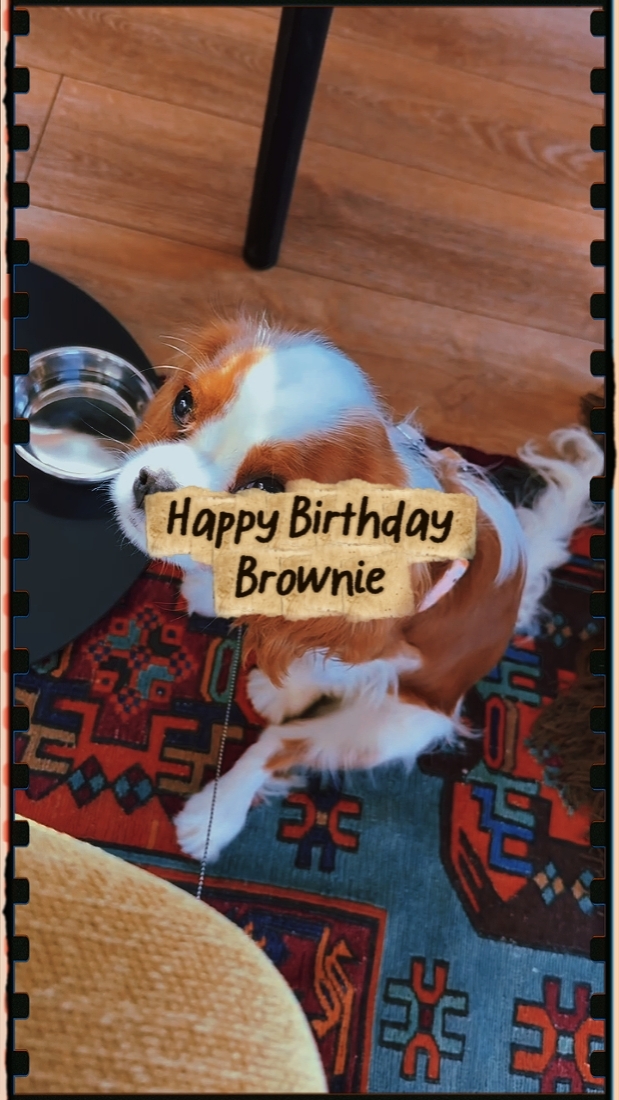Happy Barkday