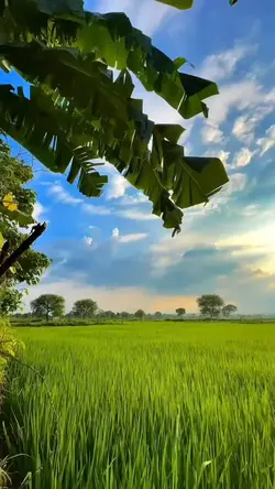 ลานเทสะเทือน