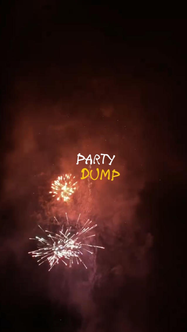 Resumen de la fiesta