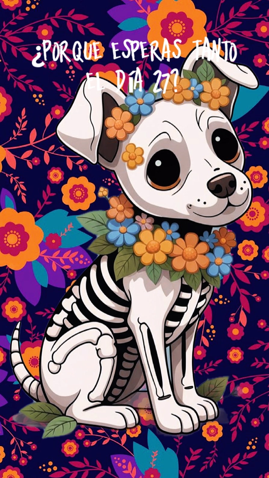 27 de octubre 