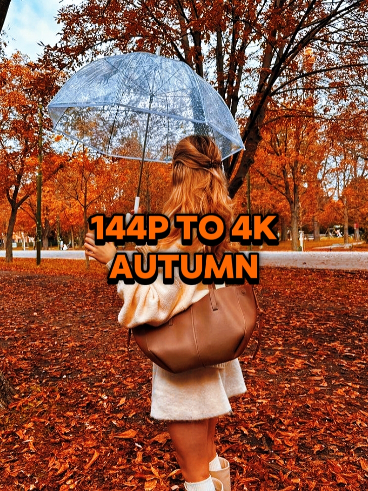 144P BIS 4K HERBST
