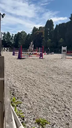 Horse slow motion 