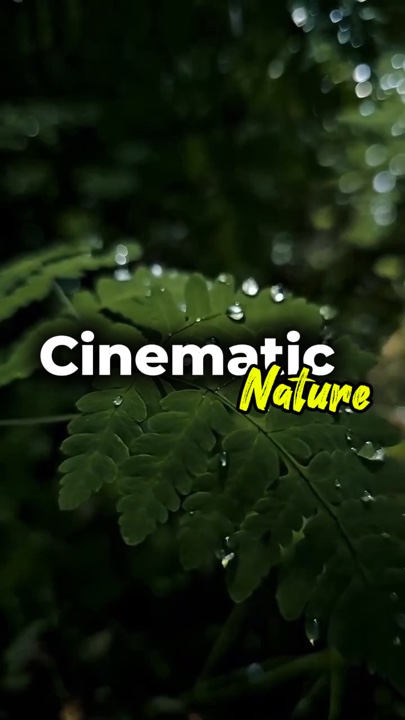 cinematic nature 