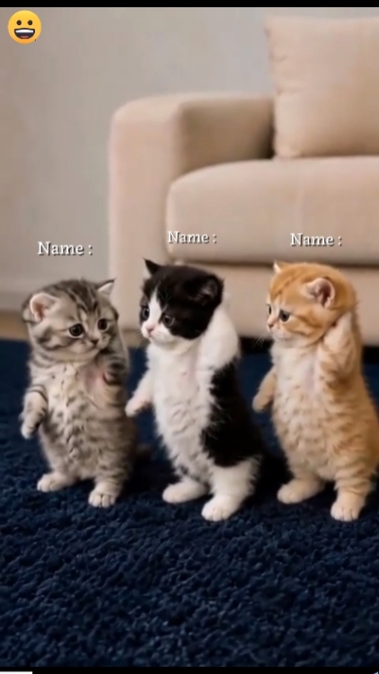 Write Name 
