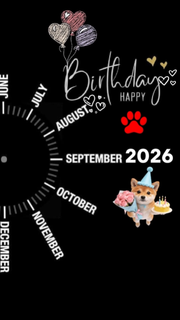 Happy birthday dog