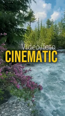 6 Clips Video