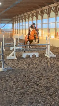 Sales horse 