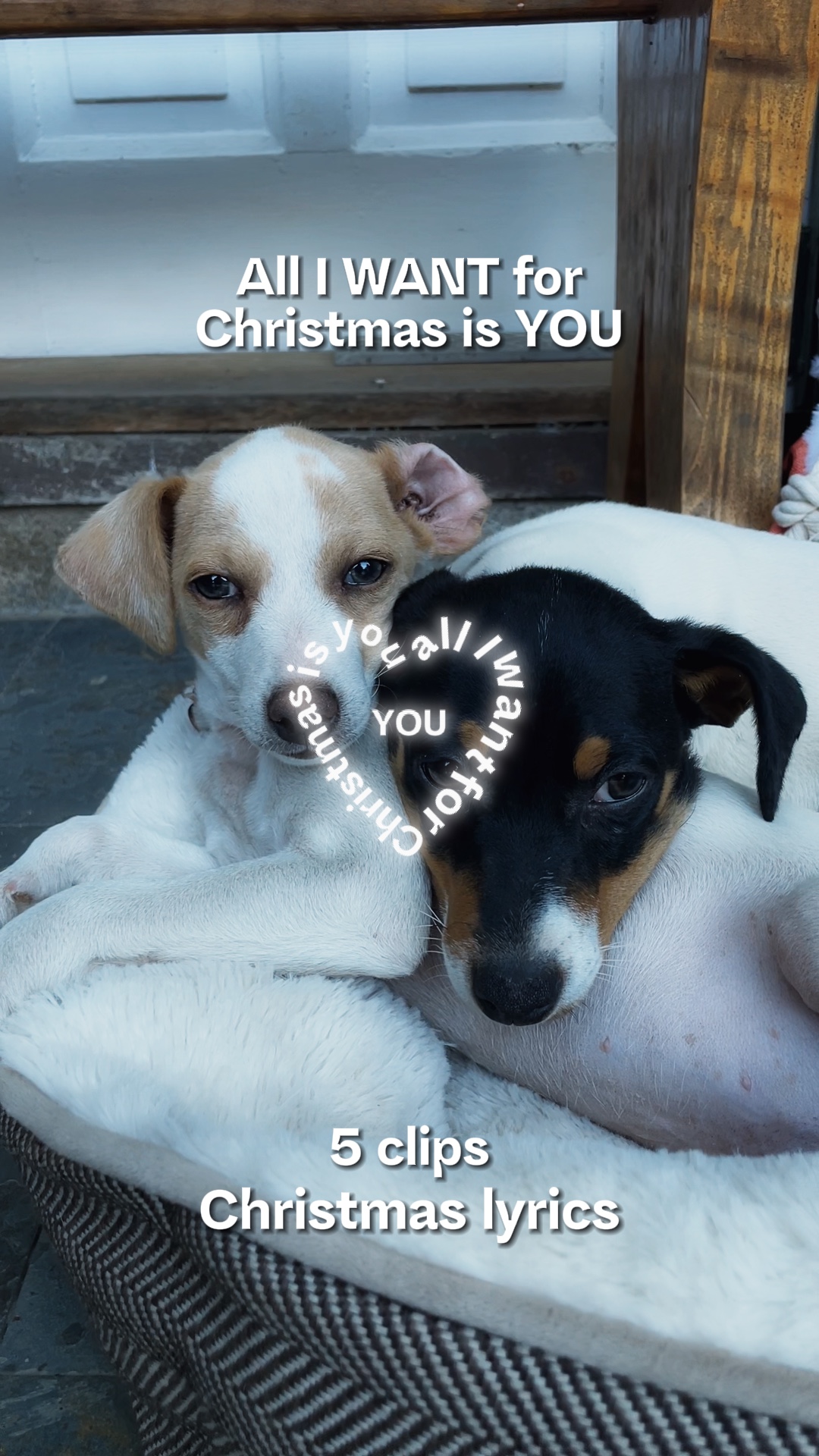 Paroles de Noël 🎄